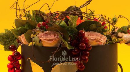 FlorideLux launches the autumn collection, expects sales of 50,000 euros